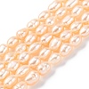 Natural Cultured Freshwater Pearl Beads Strands PEAR-I007-01L-03-2