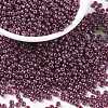 MIYUKI Round Rocailles Beads X-SEED-G008-RR0313-1