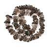 Natural Smoky Quartz Beads Strands G-P622-A01-02-3