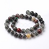 Natural African Bloodstone Beads Strands X-G-L383-06-8mm-2