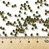TOHO 8/0 Round Beads X-SEED-TR08-1702-4