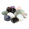 12Pcs No Hole/Undrilled Natural Gemstone Beads G-FS0001-28-2