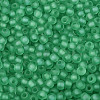 FGB Frosted Transparent Glass Seed Beads SEED-N013-02A-09-3