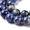 Natural Lapis Lazuli Round Bead Strands X-G-E262-01-10mm-6