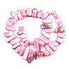 Natural Freshwater Shell Beads Strands SHEL-N026-123B-2
