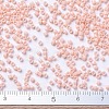 MIYUKI Delica Beads SEED-X0054-DB0206-4