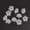 Transparent Acrylic Beads PL560-2