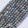 Natural African Turquoise(Jasper) Beads Strands G-D809-01-4mm-1