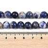 Natural Sodalite Beads Strands G-S279-10-8mm-6