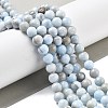 Natural Persian Jade Beads Strands G-A255-A02-02A-2