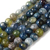 Dyed & Heated Natural Fire Crackle Agate Beads Strands G-P539-B01-02-1