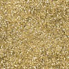 MIYUKI Delica Beads SEED-X0054-DB0042-3
