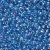 6/0 Round Glass Seed Beads SEED-US0003-4mm-163-2
