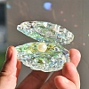 Glass Display Decorations PW-WG77682-01-2
