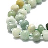 Natural Myanmar Jade Beads Strands G-E576-60-3