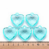 Transparent Acrylic Pendants LS-TACR-T024-03B-946-4