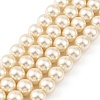 Preciosa® MAXIMA Crystal Nacre Pearls Y-PRC-NPA8-77500-2