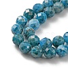 Natural Apatite Beads Strands LS-G-G927-32-8MM-3