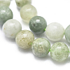 Natural Myanmar Jade/Burmese Jade Beads Strands G-D0001-08-6mm-3