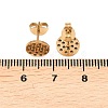 304 Stainless Steel Stud Earring Findings STAS-P434-06B-G-3