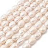 Natural Cultured Freshwater Pearl Beads Strands PEAR-D003-01D-11-2