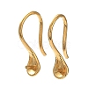 Ion Plating(IP) 304 Stainless Steel Earring Hooks STAS-M323-06G-1