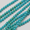 Imported Synthetic Turquoise Bead Strands X-G-A130-2mm-L05-1-1
