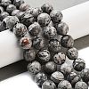 Natural Map Stone/Picasso Stone/Picasso Jasper Strands G-G099-10mm-27-5