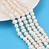 Natural Cultured Freshwater Pearl Beads Strands PEAR-I007-07J-09A-1