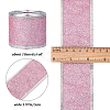 Sparkle Wired Edge Polyester Ribbon OCOR-WH0071-026C-2