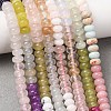 Glass & Natural White Shell & Dyed Howlite Beads Strands G-Z135-C09-2X4MM-1