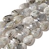 Natural Labradorite Beads Strands G-I377-A21-2
