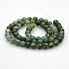 Natural Moss Agate Round Bead Strands G-N0120-30-6mm-2