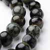 Round Natural Kambaba Jasper Bead Strands G-J346-29-6mm-1