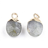 Electroplate Natural Labradorite Charms G-S344-09D-2