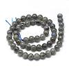 Natural Labradorite Beads Strands G-R446-10mm-14-2