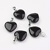Natural Black Agate Pendants X-G-G956-B04-FF-1