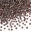 Picasso Baking Paint Glass Seed Beads SEED-TA0001-62K-2