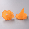 Transparent Acrylic Beads BSF796-C19-2