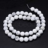 Round Natural Howlite Bead Strands G-F222-14-10mm-3