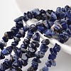 Chip Natural Blue Spot Stone Bead Strands G-M344-18-1