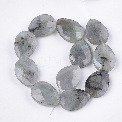 Natural Labradorite Beads Strands X-G-S354-07-1