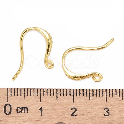 925 Sterling Silver Earring Hooks STER-K168-108G-1
