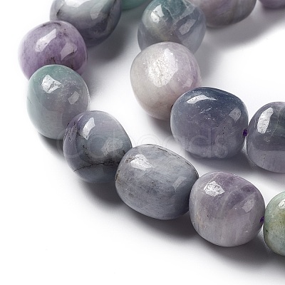 Natural Kunzite Beads Strands G-K331-005B-1