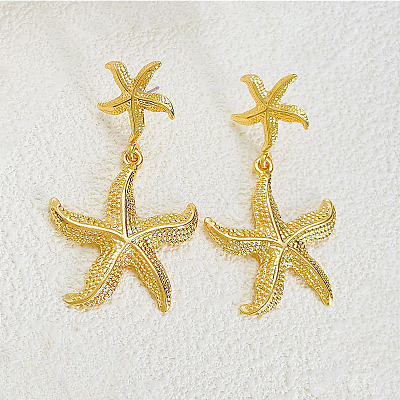 304 Stainless Steel Dangle Stud Earrings FS-WG5CF4C-01-1