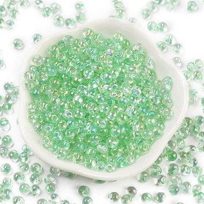 6/0 Inside Colours Fringe Glass Seed Beads SEED-A034-03A-1