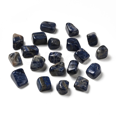Natural Sodalite Beads G-O029-08P-1
