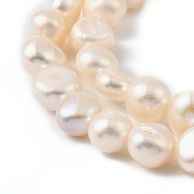 Natural Cultured Freshwater Pearl Beads Strands PEAR-P064-19J-06D-1