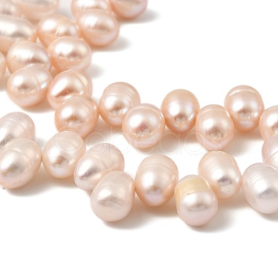Natural Cultured Freshwater Pearl Beads Strands PEAR-I007-04E-03C-1