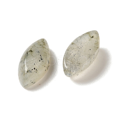 Natural Labradorite Cabochons G-F772-01B-18-1